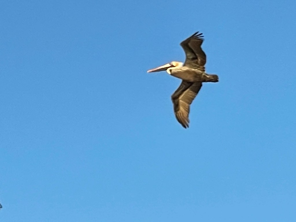 Key Largo, FL, Day 3, 130223