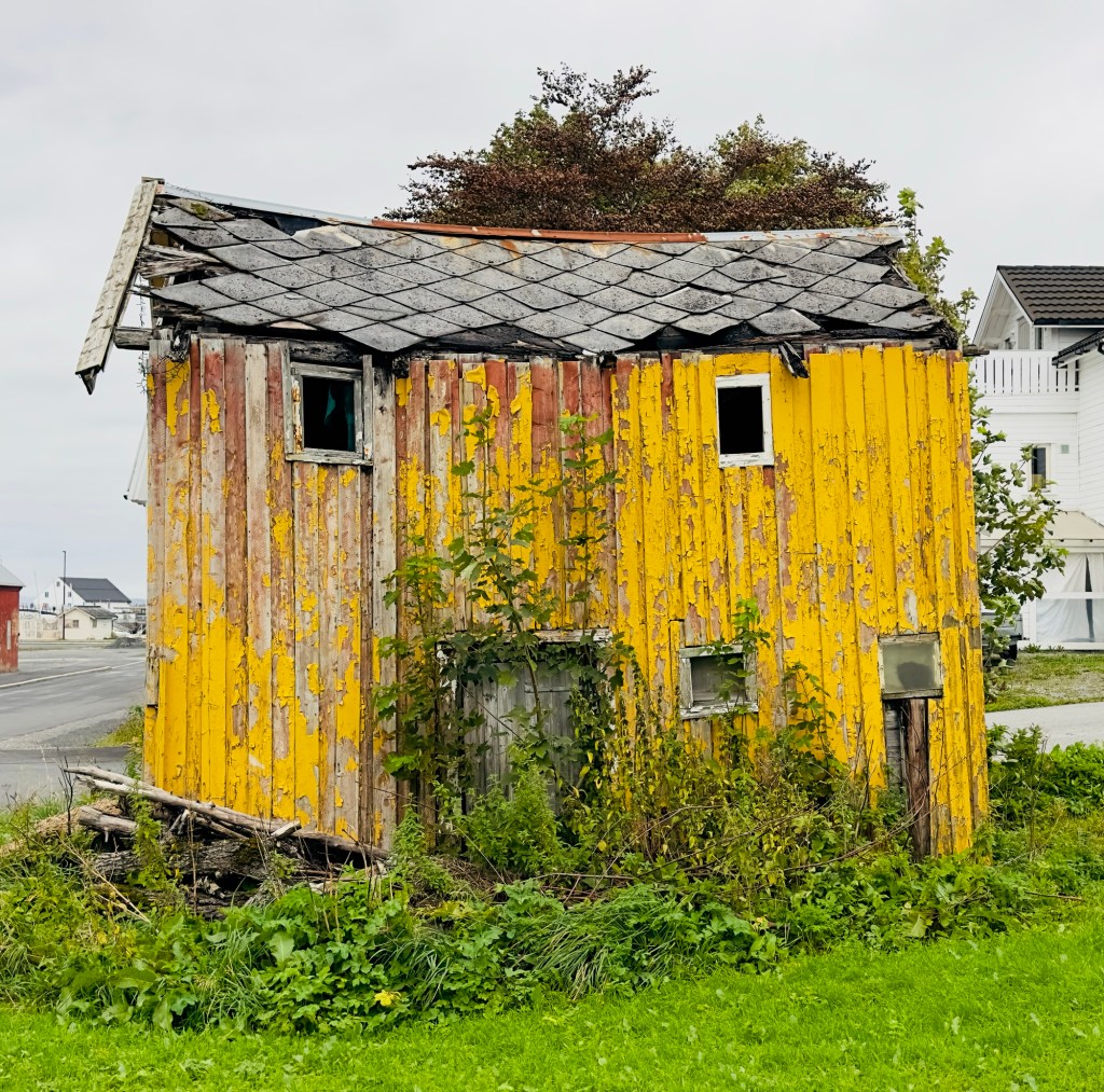 Svalbard Express, day 14, Brønnøysund, 190924