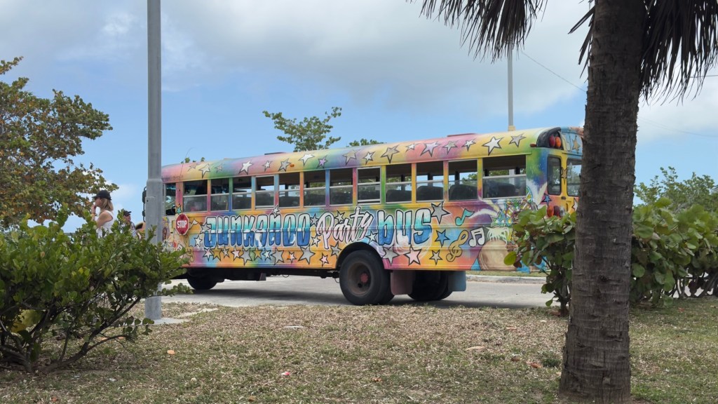 Straw Market and downtown Nassau, day 5, 010425