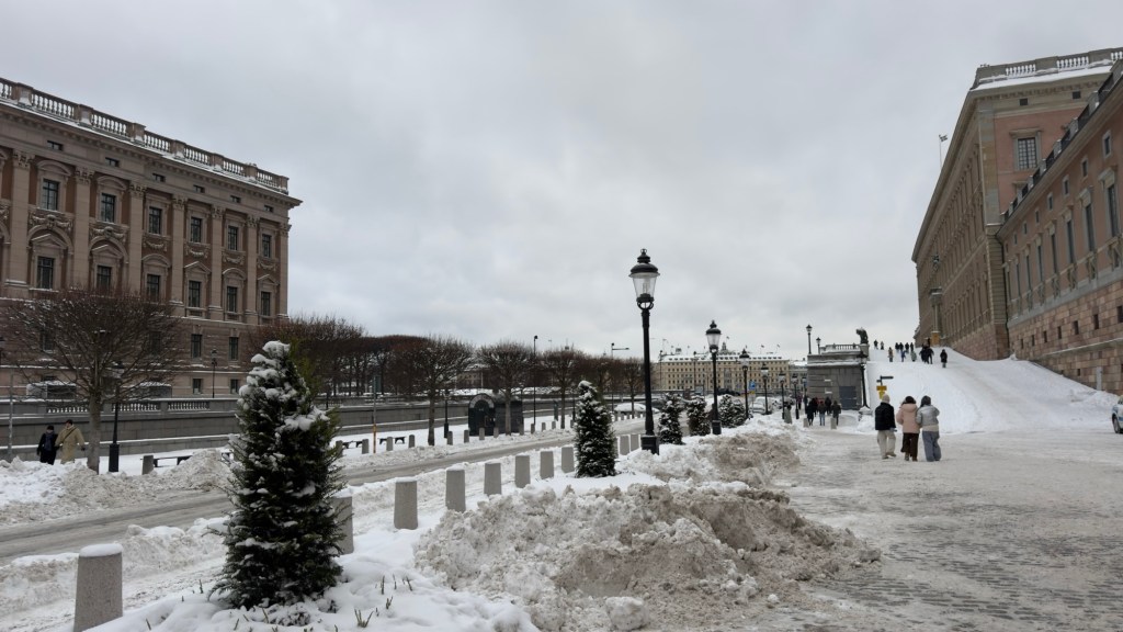 Stockholm, Sweden, Day 4, 040126: Taking It Slow in Sub-Zero&nbsp;Temperatures